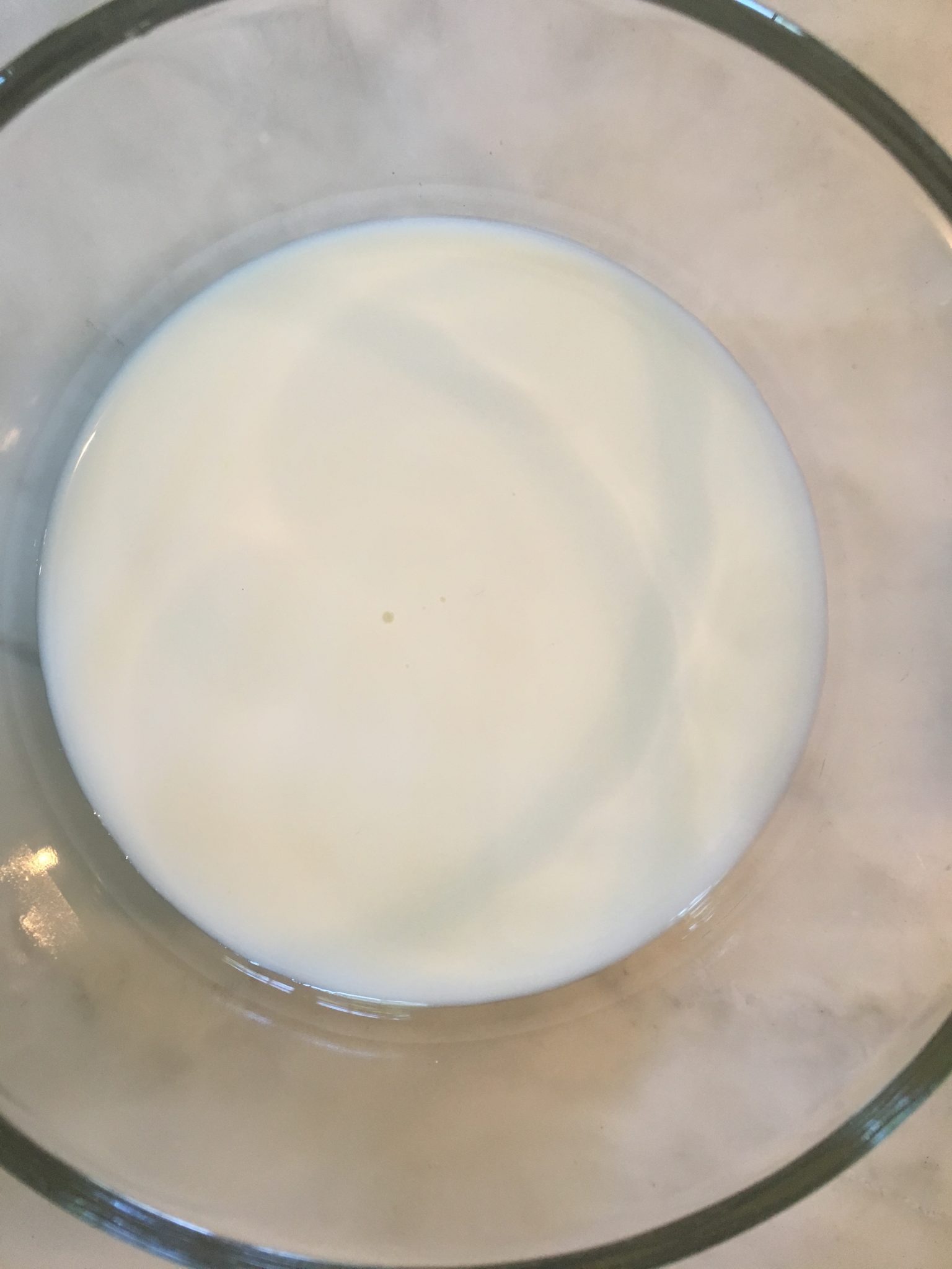 Colorful Milk Bursts Science at Home for Kids