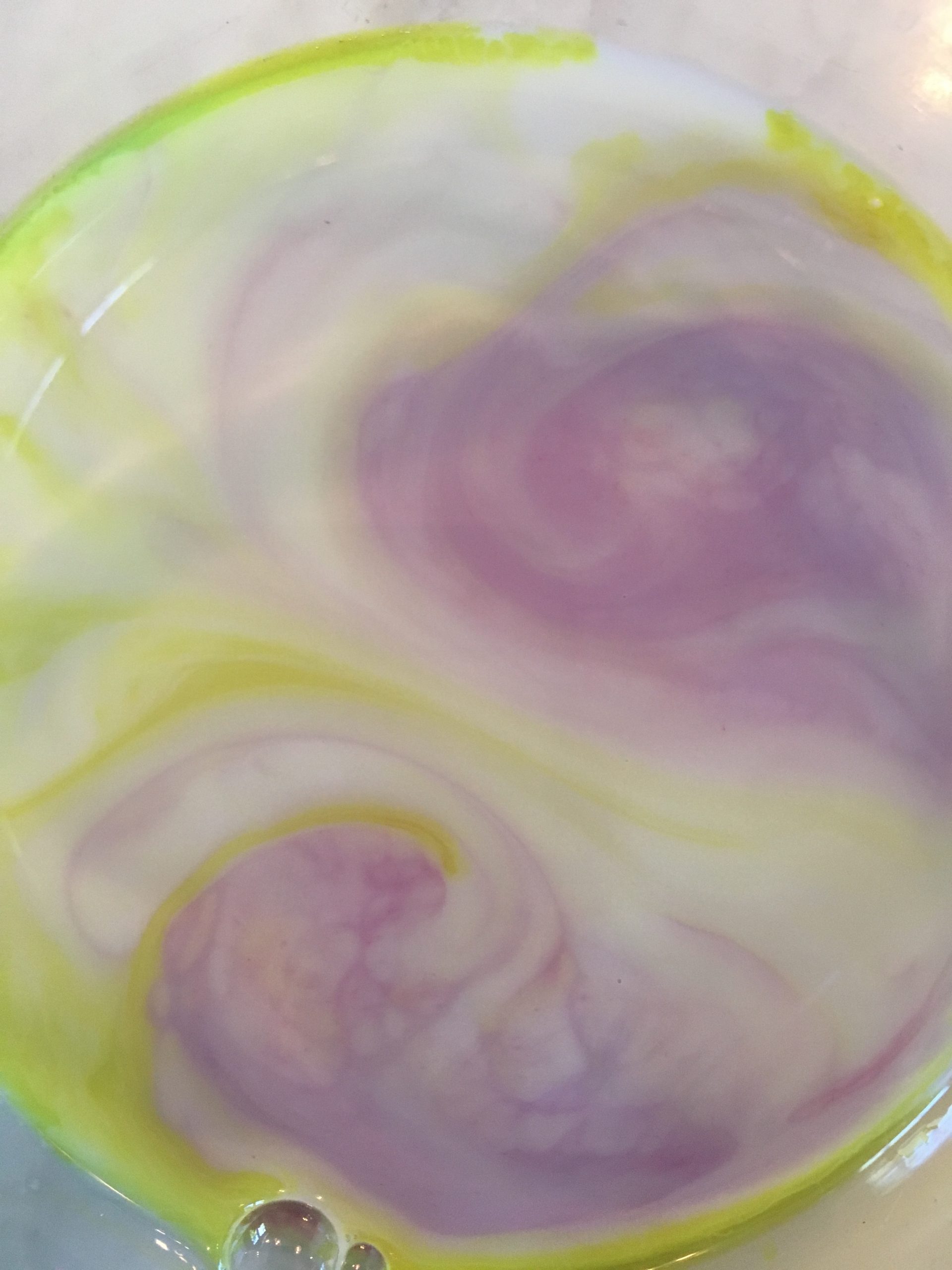 Colorful Milk Bursts Science at Home for Kids