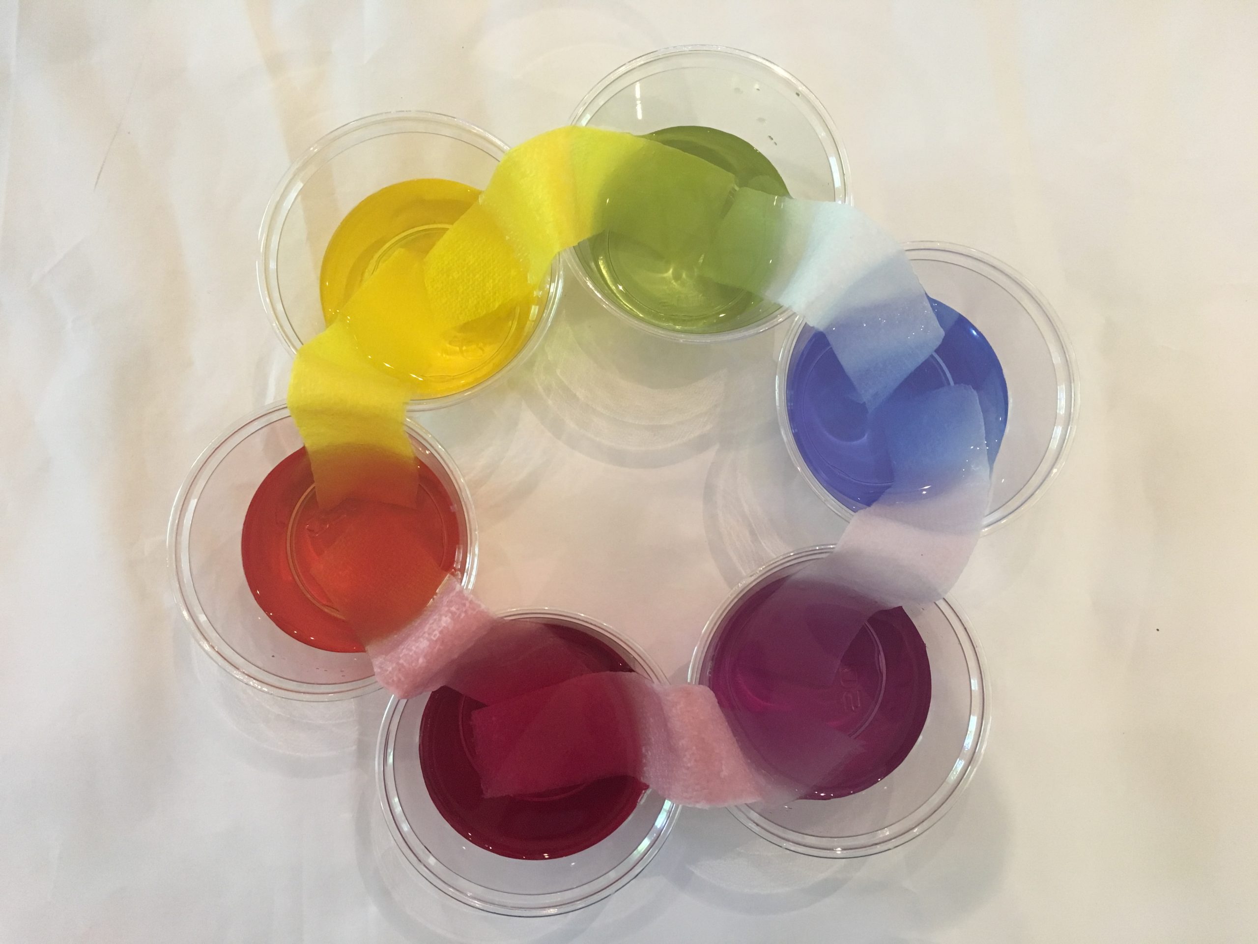 Colorful Water Mixing Science at Home for Kids