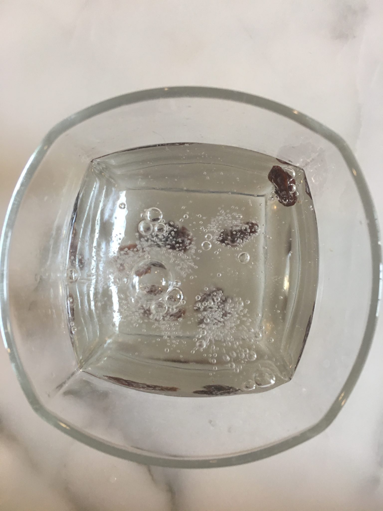 Dancing Raisins Science at Home for Kids