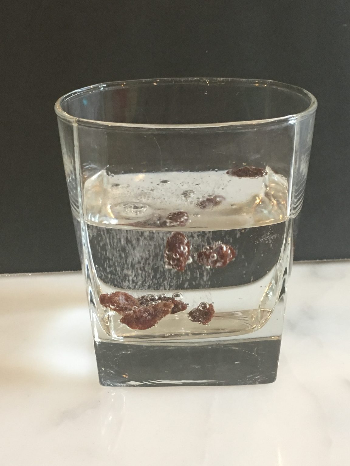 raisins carbonated water experiment