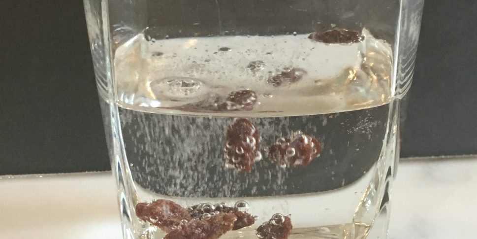 science experiment set raisins dancing