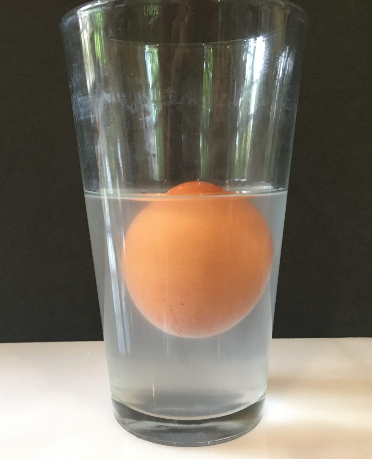 Levitating Egg : Science at Home for Kids