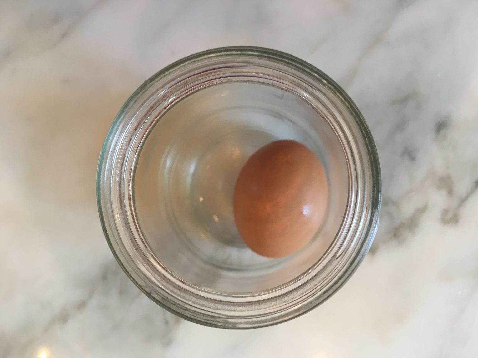 The Shellless Egg Science at Home for Kids