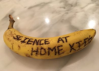 Secret Banana Messages